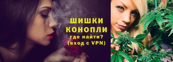 мдпв Каменка