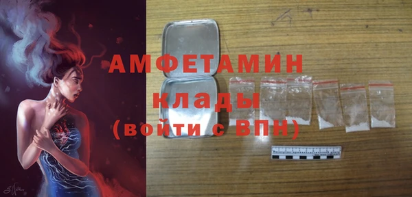 мдпв Каменка