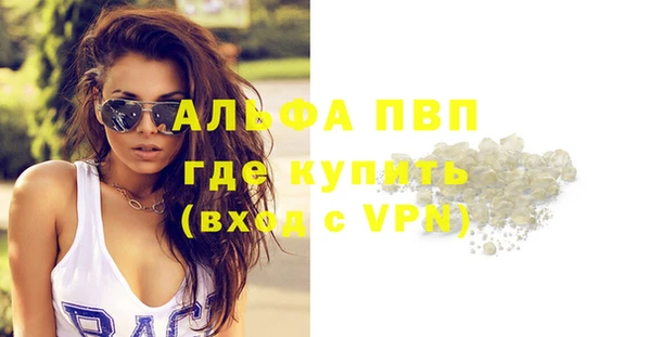 мдпв Каменка