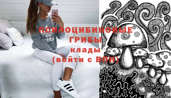 мдпв Каменка