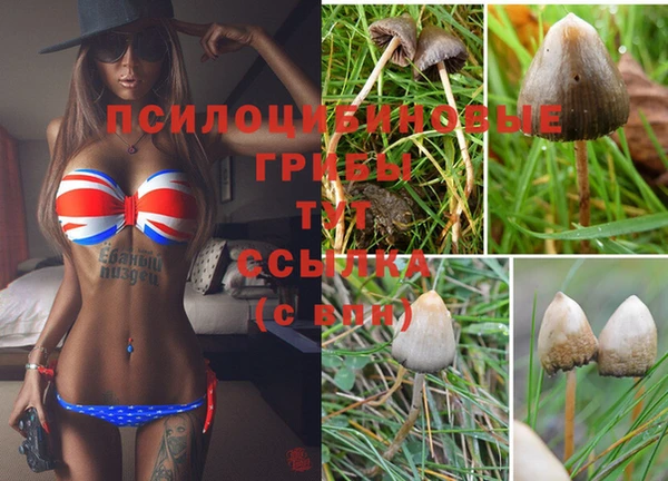 мдпв Каменка