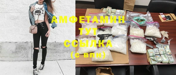 мдпв Каменка