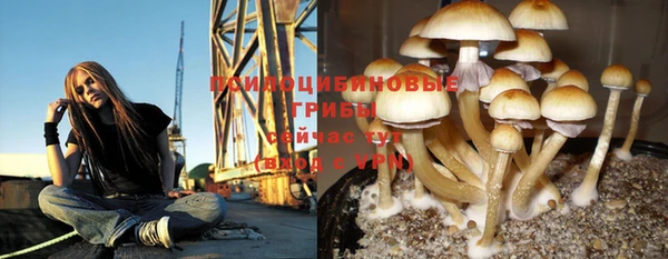 мескалин Каменск-Шахтинский