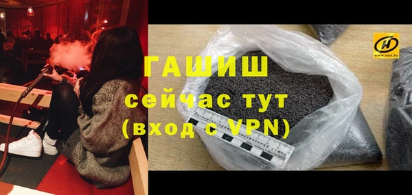 мдпв Каменка