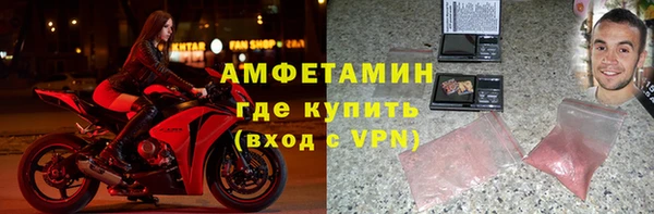 мдпв Каменка