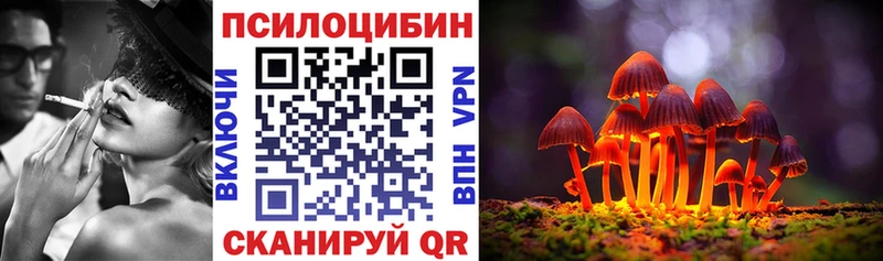 Купить  Городец  Псилоцибиновые грибы MAGIC MUSHROOMS 